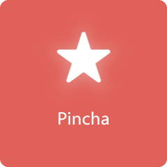 94 Pincha