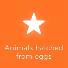 Animals hatched from eggs 94 All answers 