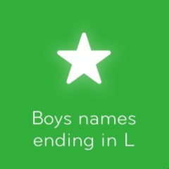 Boys names ending in L 94