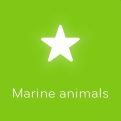 Marine animals 94