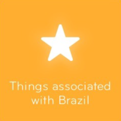 Things associated with Brazil 94