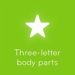 Three letter body parts 94