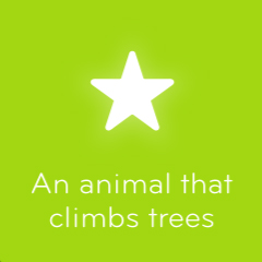 An animal that climbs trees 94
