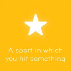 A sport in which you hit something 94