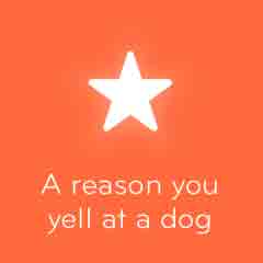 A reason you yell at a dog 94