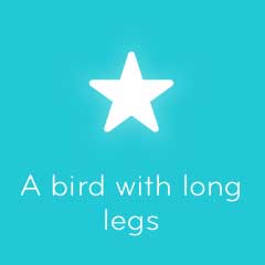 A bird with long legs 94